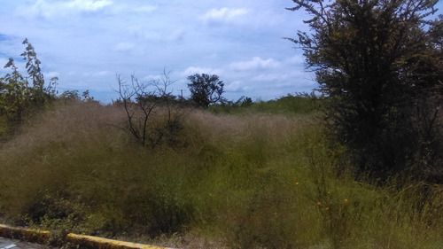Imagen 3 de 14 de Terreno Campestre