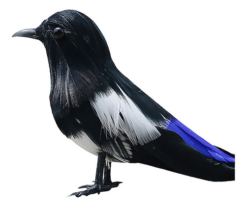 Taxidermia Realista Urraca
