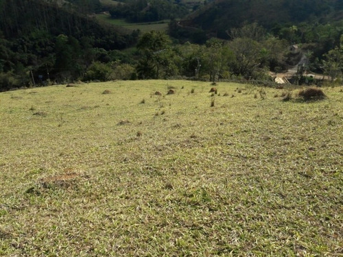 Imagem 3 de 15 de Chácara Em São Francisco Xavier - 554