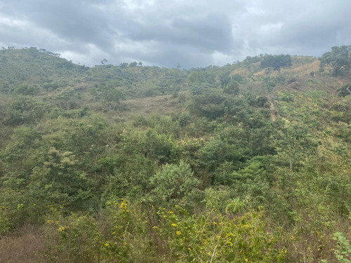 Oportunidad De Inversión En Chiapas: Rancho De 10 Hectáreas Con Documentación Al Día Y Plusvalía En Crecimiento