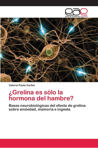 Libro: ¿grelina Es Sólo La Hormona Del Hambre?: Bases Neurob