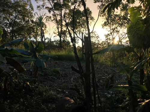 Imagen 4 de 14 de Terreno En Colinas De Carrizal