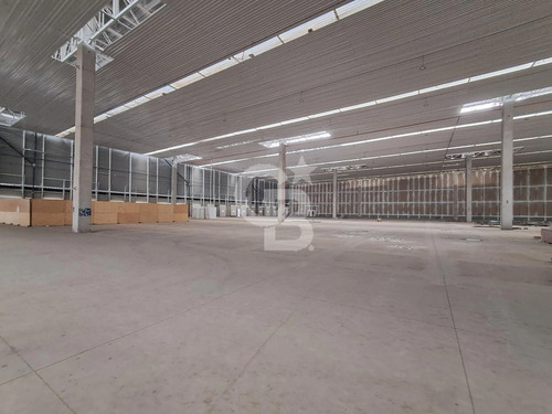 Bodega 3.300 M² Centro Logístico - San Bernardo