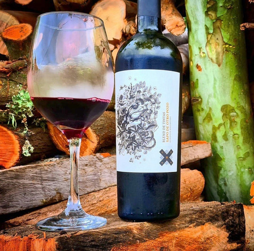 Vino Sapo De Otro Pozo Blend Caja X3u 750ml Mosquita Muerta