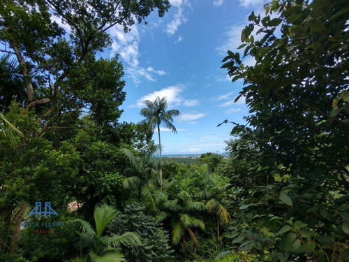 Imagem 5 de 5 de Terreno À Venda, 4320 M² Por R$ 450.000,00 - Pântano Do Sul - Florianópolis/sc - Te0245