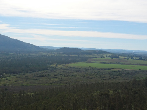 Terreno En El Cerro Del Burro