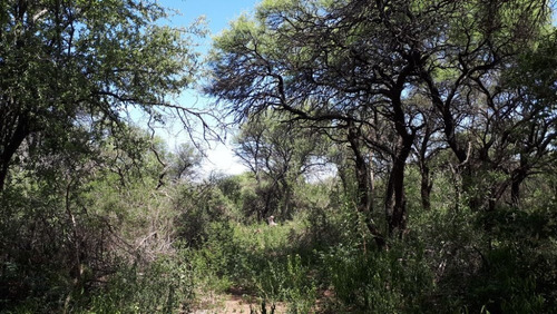 Imagen 5 de 14 de Vendo Lotes De 1000-1500 M² En El Rincón - San Marcos Sierra