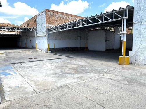 Bodega En Renta En Constitucion, S.l.p.
