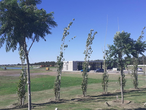 Imagen 19 de 22 de Terreno - Carpinchos