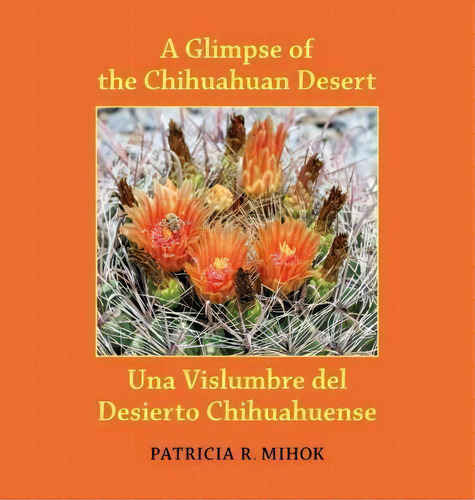 A Glimpse Of The Chihuahuan Desert/una Vislumbre Del Desierto Chihuahuense, De Patricia R Mihok. Editorial Mogollon Publications, Tapa Dura En Inglés