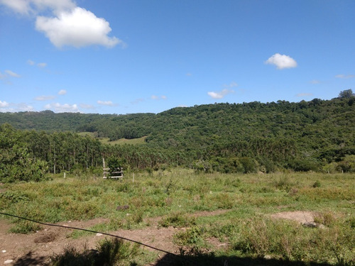 Chácara 10.000 M² - Maracanã - Glorinha - Rs - 2015 - 33422751