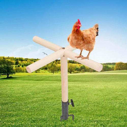 Fweaad Juguete De Percha Para Pollo, Accesorios Para