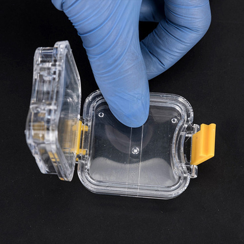 Caja De Dientes De Plástico Para Dentaduras Postizas De 10 P