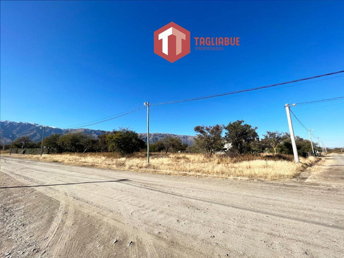 Imagen 8 de 9 de Terreno - Solares