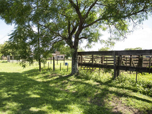 Imagen 4 de 17 de Terreno En Venta En San Antonio De Areco