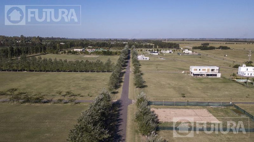 Imagen 8 de 11 de Terreno - Haras De Funes