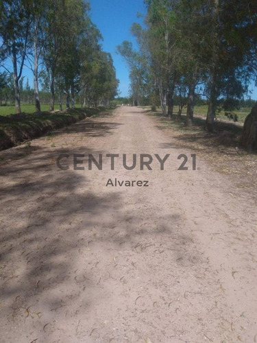 Imagen 9 de 25 de Venta De Lote De Terreno De Chacra Ideal Inversores