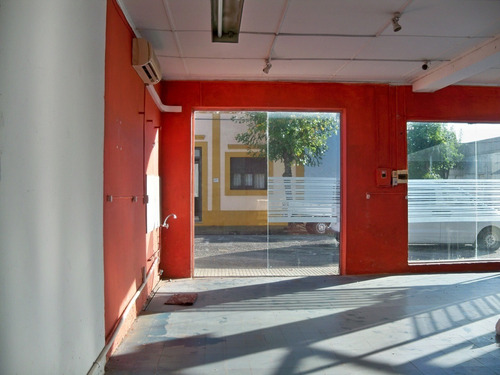 Imagen 6 de 9 de Locales Comerciales Alquiler Carmelo