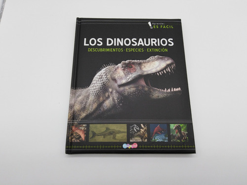 Libro Sobre Los Dinosaurios, Especies Ilustrado Para Niños