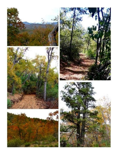 Sitio En Venta A 42 Km De Curicó A La Cordillera