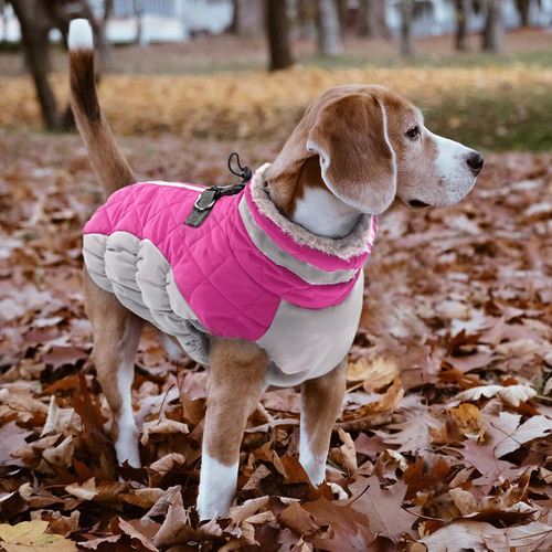 Lelepet Abrigo De Invierno Para Perros Abrigo Para Perros...