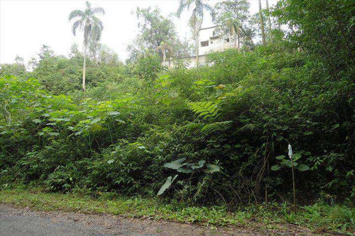 Imagem 3 de 4 de Terreno, Portal Das Acácias, Santana De Parnaíba - R$ 170 Mil, Cod: 126300 - V126300