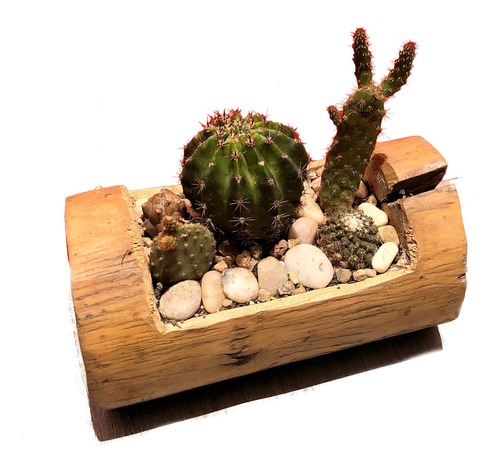 Maceta Madera Mini Arreglo Cactus