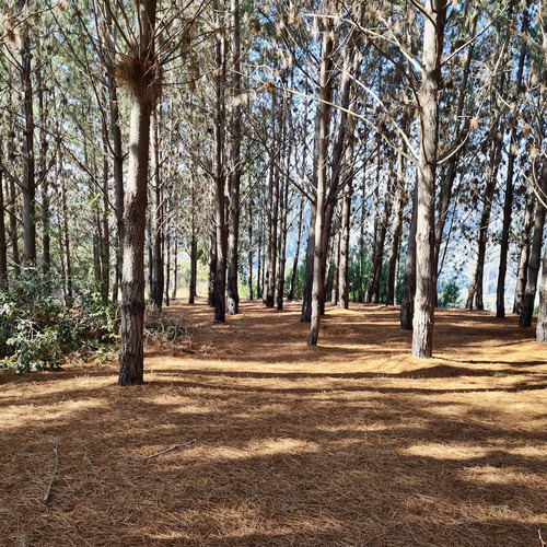 Terreno En Exclusivo Condominio En Matanzas