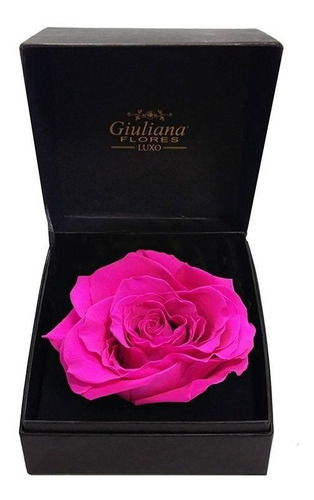 Caixa Premium Com Rosa Encantada Pink Giuliana Flores | Parcelamento sem  juros