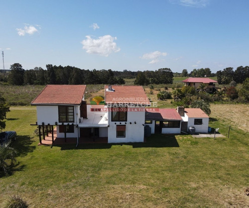 Imagen 2 de 30 de Chacra, 4 Has En Pajas Blancas, Casa, Excelente Vista Al Rio De La Plata