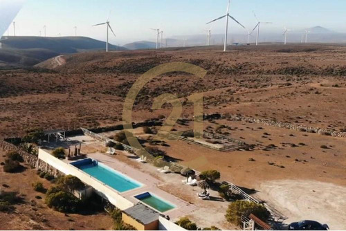Hermosa Parcela Entre Tongoy Y Los Vilos.