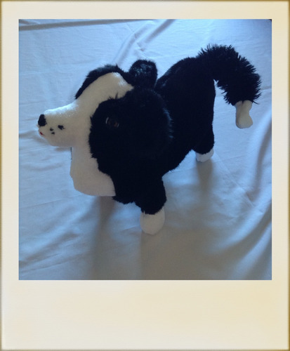 Peluche Personalizado De Border Collie 50cm Perritos