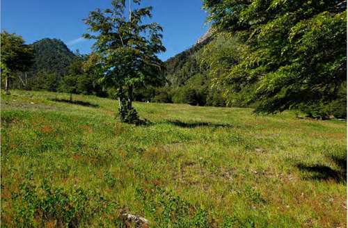 Campo Loncotriuque Con Cabaña Y Galpon. Loteado Con 66 Parc.