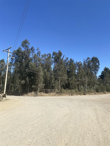 Sitio En Venta Valparaíso.parque Emp.curauma,sector Placilla