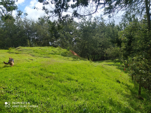 Lote En Santa Rosa De Osos Via Don Matias