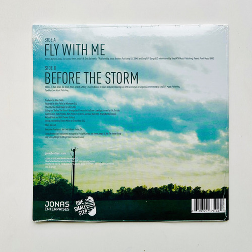 Jonas Brothers Fly With Me Vinilo Single Edicion Limitada Vinilo 7 Pulgadas