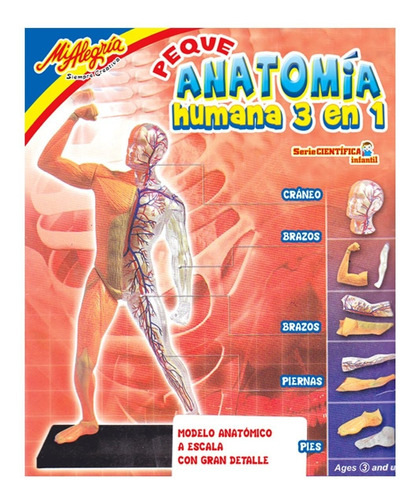 Juguetes Mi Alegria Anatomia Humana 3 En 1