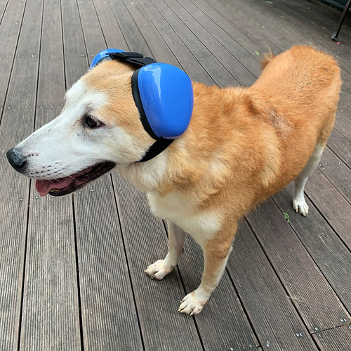 Protector De Oidos Para Perro Talla L/azul