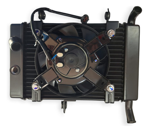 Radiador Con Electro Ventilador Tnt25n Benelli Original