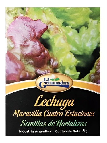 Semillas Lechuga Maravilla Cuatro Estaciones Valhalla Grow