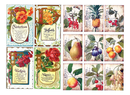 Láminas De Decoupage Set Etiquetas De Flores Y Frutas
