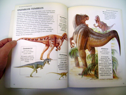 Dinoclub Larousse Stegosaurus Dinosaurios Para Niños Boedo (Usado)