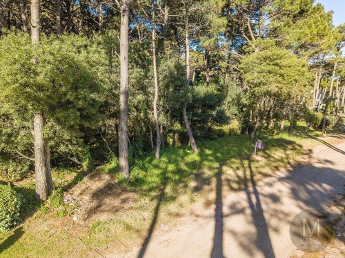 Imagen 2 de 10 de Lote En Venta - Pinamar Norte