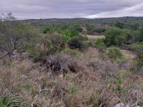 Imagen 2 de 8 de Vendo Lote En San Nicolas