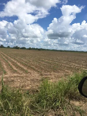 Hacienda-Finca en venta