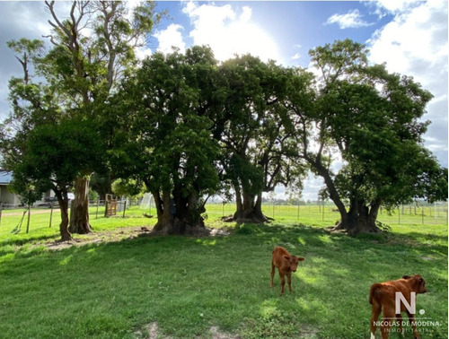 Campo Con Gran Potencial 