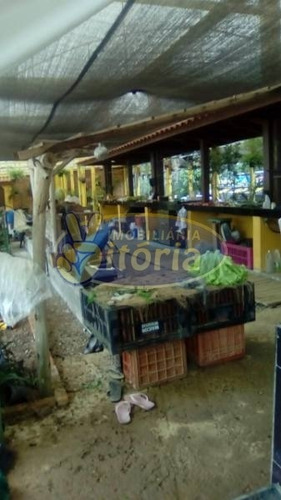 Imagem 17 de 21 de Chácara Para Venda No Bairro Dos Finco/ Vila Tupã, 3 Dorm, 6 Vagas, 100 M, 3982 M - 9851