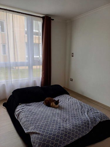 Arriendo Depto Incluye Ggcc (104279)