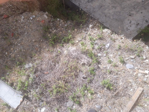 Excelente Terreno En Venta, Comercial Y Residencial En Macuto La Guaira 25-248 Edf
