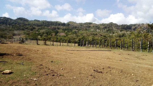 Imagen 18 de 30 de Finca En Mirimire Estado Falcon De 941 Hectáreas